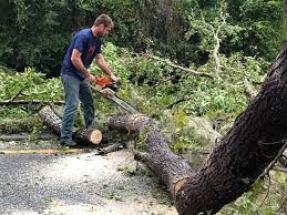 Mulching Services in Hyrum, UT